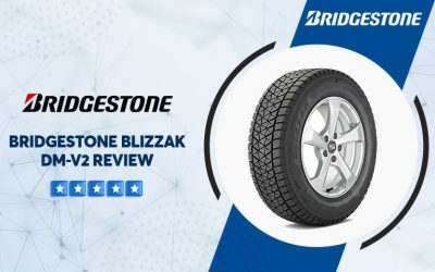 Bridgestone Blizzak Dm-v2 Tire Reviews & Rating